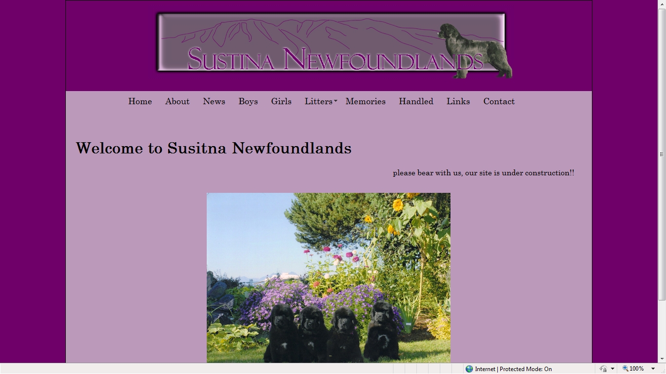 Susitna Newfoundlands